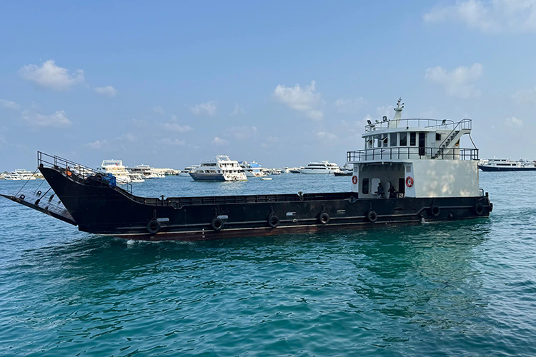 เรือข้ามฟากปฏิวัติการขนส่งทางทะเลได้อย่างไร?